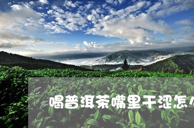 喝普洱茶嘴里干涩怎么回事/2023121506149