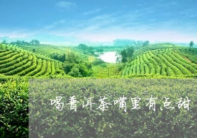 喝普洱茶嘴里有点甜/2023071126170