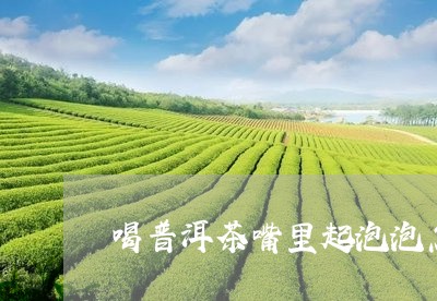 喝普洱茶嘴里起泡泡怎么回事/2023052954158