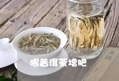 喝普洱茶增肥/2023042541430