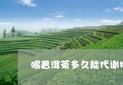 喝普洱茶多久能代谢掉茶垢/2023110506471