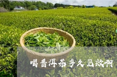 喝普洱茶多久见效啊/2023071078169