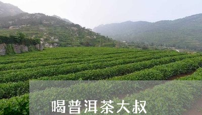 喝普洱茶大叔/2023042741262