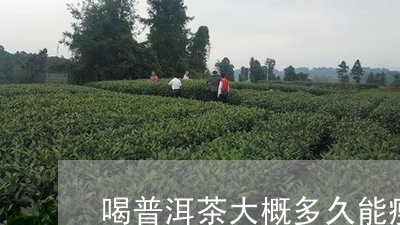 喝普洱茶大概多久能瘦下去/2023112872694