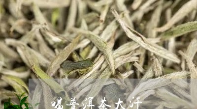 喝普洱茶大汗/2023042702605