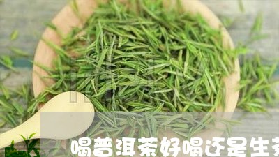 喝普洱茶好喝还是生茶/2023080383914