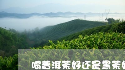 喝普洱茶好还是黑茶好/2023063086268