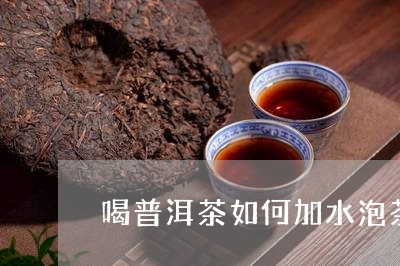 喝普洱茶如何加水泡茶最好/2023110529581