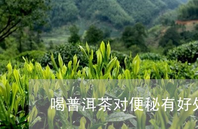 喝普洱茶对便秘有好处/2023061798473