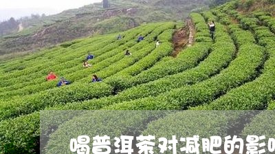 喝普洱茶对减肥的影响/2023063015262