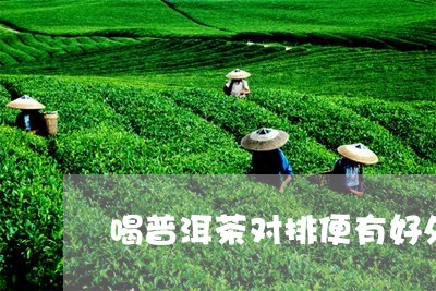 喝普洱茶对排便有好处吗/2023103195049