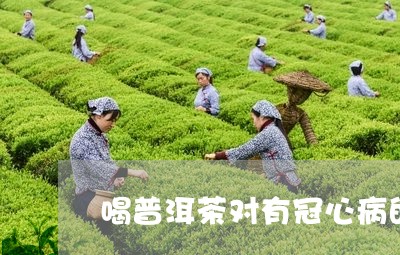 喝普洱茶对有冠心病的人有好处吗/2023060258481