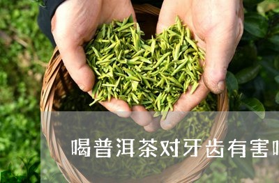 喝普洱茶对牙齿有害吗/2023062268040