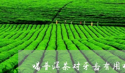 喝普洱茶对牙齿有用吗/2023061528404