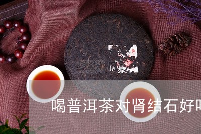 喝普洱茶对肾结石好吗有影响吗/2023082823735