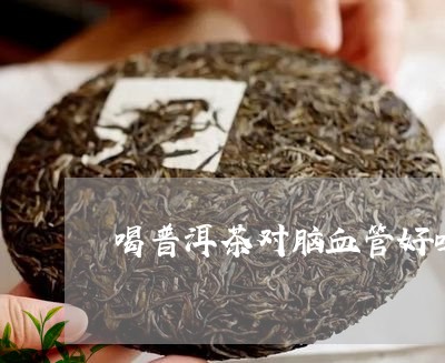 喝普洱茶对脑血管好吗/2023093074658