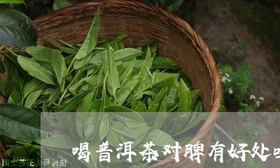 喝普洱茶对脾有好处吗/2023093095048