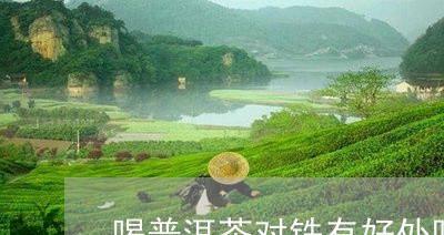 喝普洱茶对铁有好处吗/2023092745060