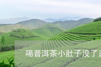 喝普洱茶小肚子没了正常吗/2023112419706