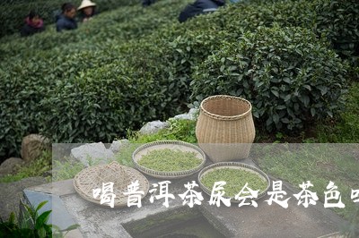 喝普洱茶尿会是茶色吗/2023092962158