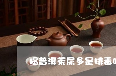 喝普洱茶尿多是排毒吗/2023072393925