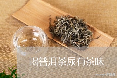 喝普洱茶尿有茶味/2023082913906