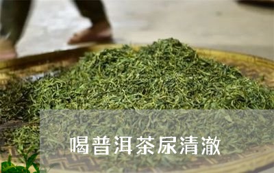 喝普洱茶尿清澈/2023081833140