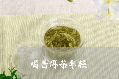 喝普洱茶年轻/2023042832110