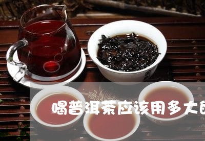 喝普洱茶应该用多大的盖碗/2023121597159