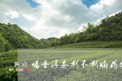 喝普洱茶影不影响药效/2023061485160