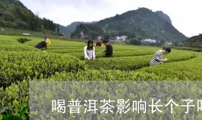 喝普洱茶影响长个子吗/2023063049281