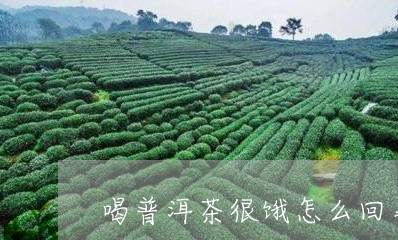 喝普洱茶很饿怎么回事/2023062064140