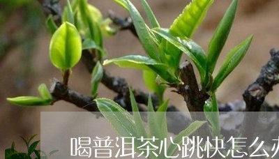 喝普洱茶心跳快怎么办/2023072363047