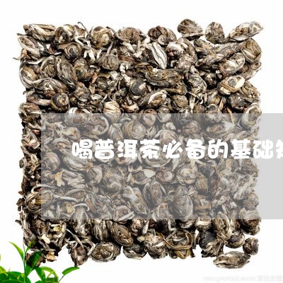 喝普洱茶必备的基础知识有哪些/2023082977591