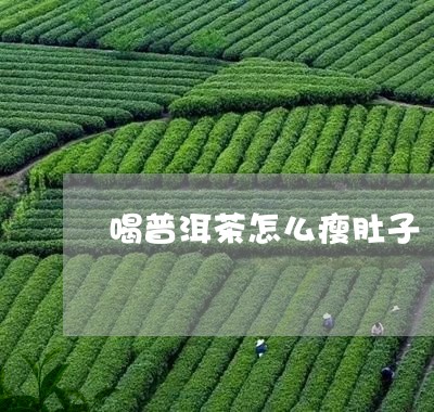 喝普洱茶怎么瘦肚子/2023110503814