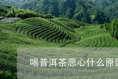 喝普洱茶恶心什么原因/2023062373978