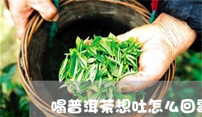 喝普洱茶想吐怎么回事/2023092842817