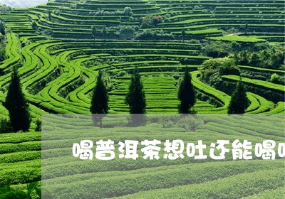 喝普洱茶想吐还能喝吗/2023092902703