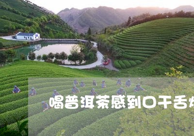 喝普洱茶感到口干舌燥/2023093021513