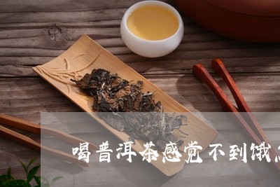 喝普洱茶感觉不到饿怎么回事/2023082960703