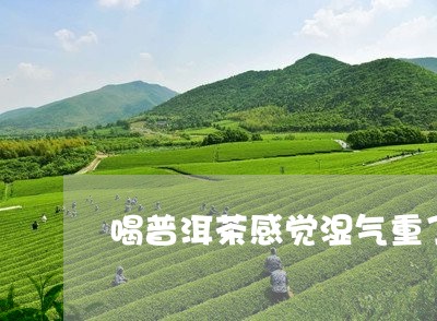 喝普洱茶感觉湿气重了/2023092984836