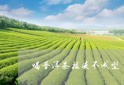 喝普洱茶拉屎不成型/2023120501525