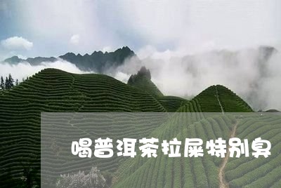 喝普洱茶拉屎特别臭/2023112492615