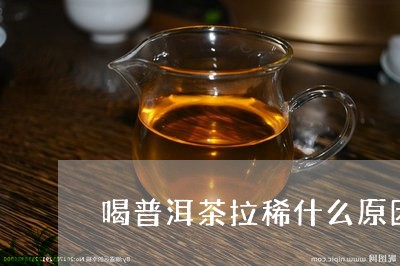 喝普洱茶拉稀什么原因/2023062260502