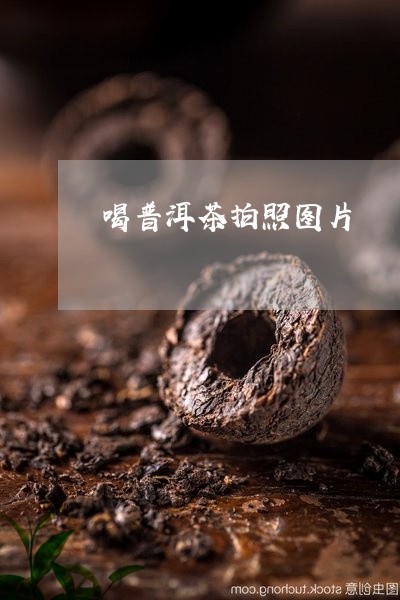 喝普洱茶拍照图片/2023082613251