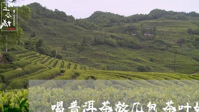 喝普洱茶放几包茶叶好喝/2023112871492