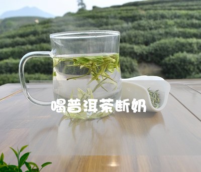 喝普洱茶断奶/2023042725607