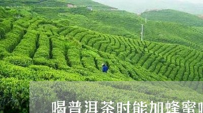 喝普洱茶时能加蜂蜜吗/2023072246061