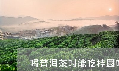 喝普洱茶时能吃桂圆吗/2023062447281