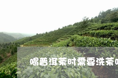 喝普洱茶时需要洗茶吗/2023073096361